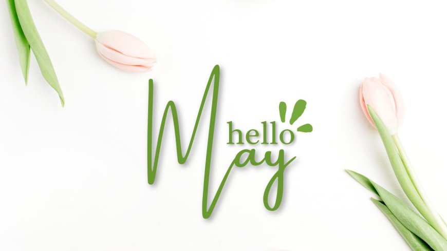 Hello May – 101 Fresh Captions for Instagram