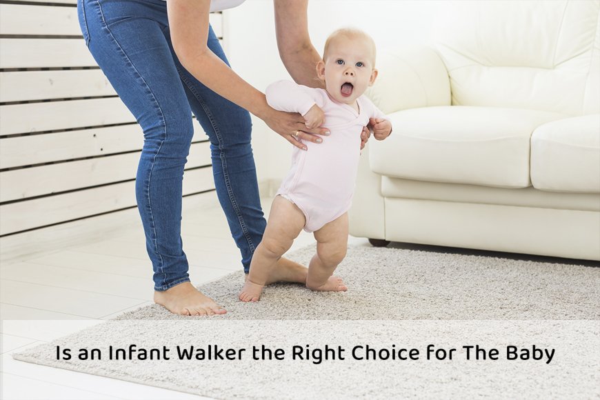 Is an Infant Walker the Right Choice for The Baby? Let’s Weigh the Pros and Cons Together